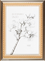 138321 (в уп.10шт.) - Фоторамка 21x30см. /KS4020-3/, материал: пластик, стекло, двп. от магазина Светотехника