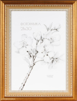 670369 (в уп.10шт.) - Фоторамка 21x30см. /KS4020-1 /, материал: пластик, стекло, двп. от магазина Светотехника
