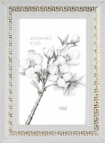 649901 (в уп.10шт.) - Фоторамка 10x15см. / 10114-1/, материал: пластик, стекло, двп. от магазина Светотехника